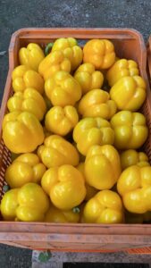Pimiento amarillo en una caja