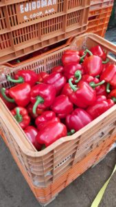 Piminetos rojos en una caja