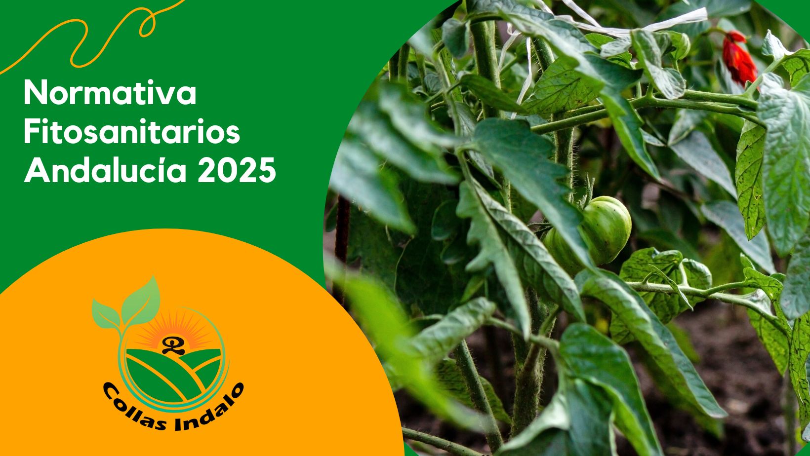 Normativa Fitosanitarios Andalucia 2025
